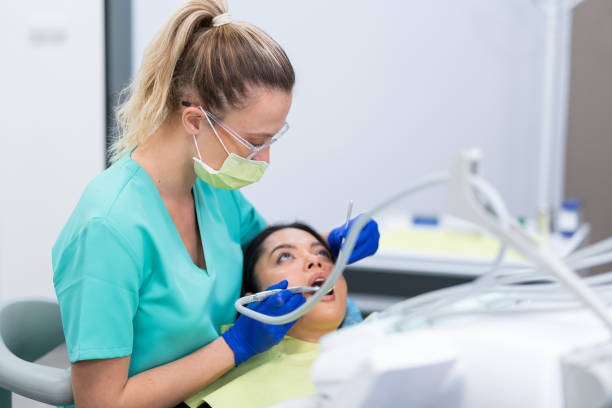 Best Emergency X-Rays and Diagnostics in Forsyth, IL